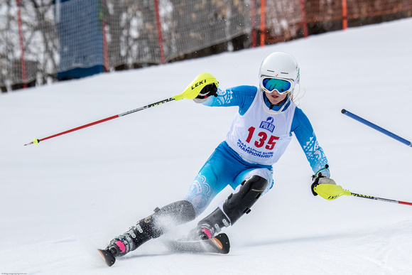 Nashoba Ski Team